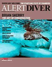 Alert Diver